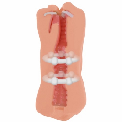 Satisfaction Morning Angel - Двойной мастурбатор- фото4