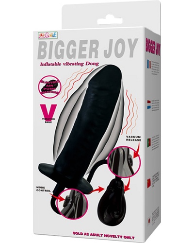Bigger Joy -   