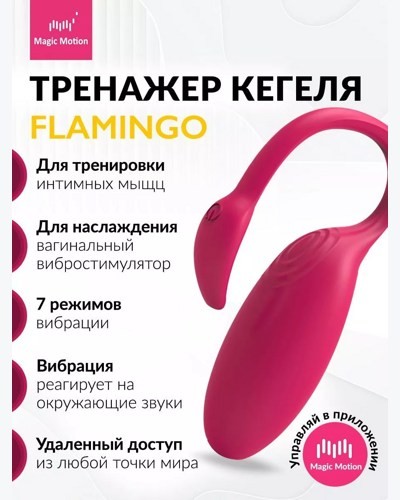 Flamingo Magic Motion -    