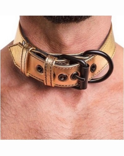 «Bondage Fetish Metallic Pup Collar With Leash» - Ошейник  — фото