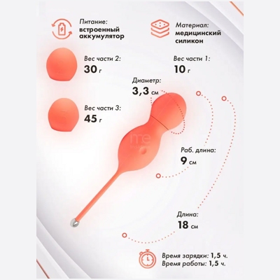«We-Vibe Bloom» - Вагинальные шарики- фото5